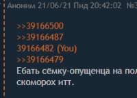 231x166