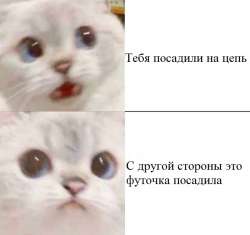 700x660