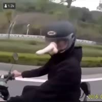 360x360