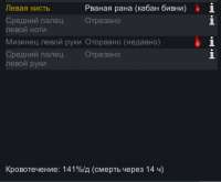 390x323