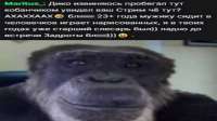 1280x720