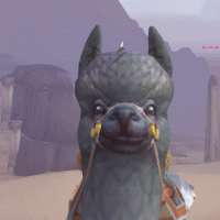 320x320