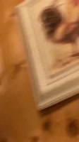 640x1136