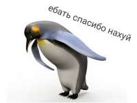 640x486