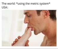 498x423