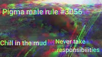 1280x720
