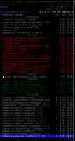 469x871