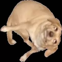 640x640