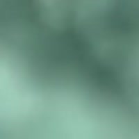 240x240