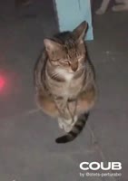 360x508