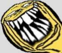 250x212