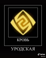 384x480