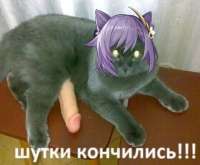 720x597