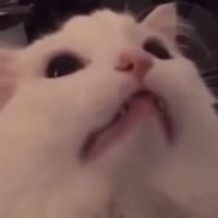 640x640