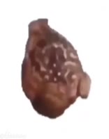 720x918