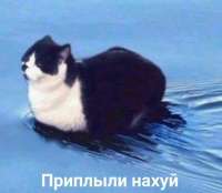 1125x980