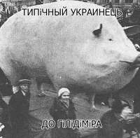 720x712