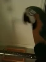 270x360