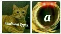 485x276