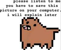 876x720