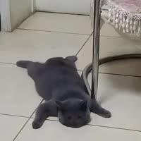 360x360
