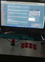 376x519