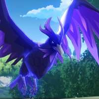 360x360
