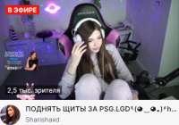 390x274