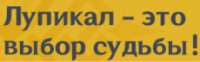 230x72