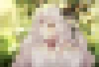 800x547