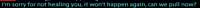856x38