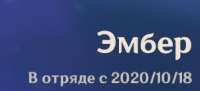 301x137