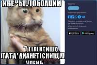 951x639