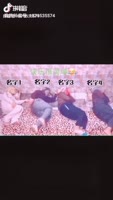 720x1264