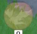 120x110