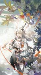 1811x3298