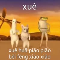 360x360