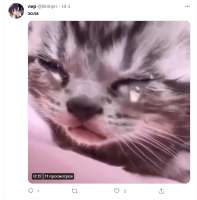 766x775