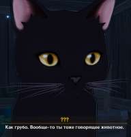 961x999