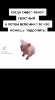 360x646