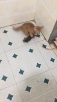 360x640