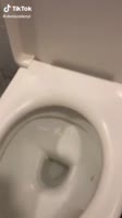 406x720