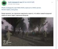 570x486