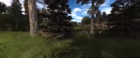 3440x1440