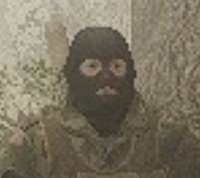 440x393