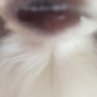 360x360