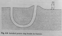 800x475
