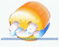 498x398