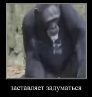 306x320