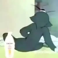 320x320